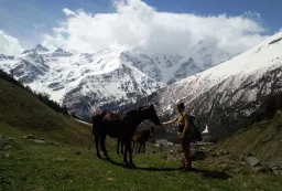 Nevado