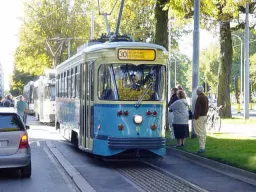 włodek52