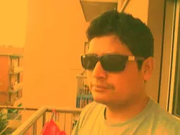 salsa2013