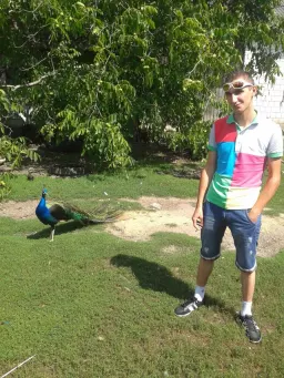 luki 24