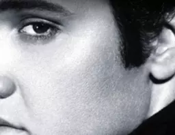 Elvis_P