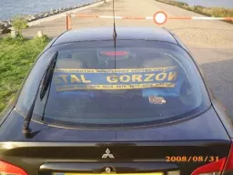 tomasz